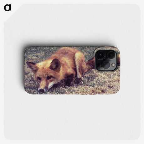 2-4_COVID-19_phone