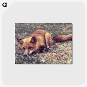 2-4_COVID-19_postcard