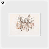 アートポストカード-Bermuda: Tree - チャールズ デムス Postcard.