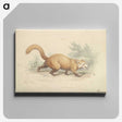 2-4_Charles-Hamilton-Smith_canvas