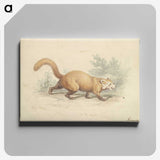 2-4_Charles-Hamilton-Smith_canvas