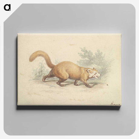 2-4_Charles-Hamilton-Smith_canvas