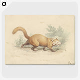 2-4_Charles-Hamilton-Smith_picture-crop