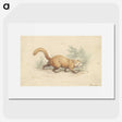 2-4_Charles-Hamilton-Smith_picture