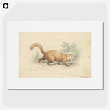 2-4_Charles-Hamilton-Smith_picture