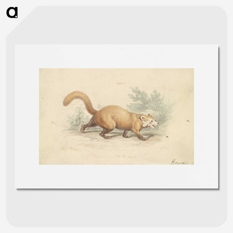 2-4_Charles-Hamilton-Smith_picture