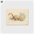 2-4_Charles-Hamilton-Smith_postcard