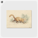 2-4_Charles-Hamilton-Smith_postcard