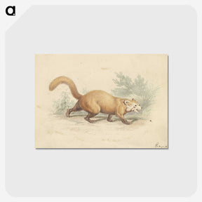 2-4_Charles-Hamilton-Smith_postcard