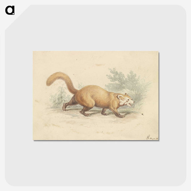 2-4_Charles-Hamilton-Smith_postcard