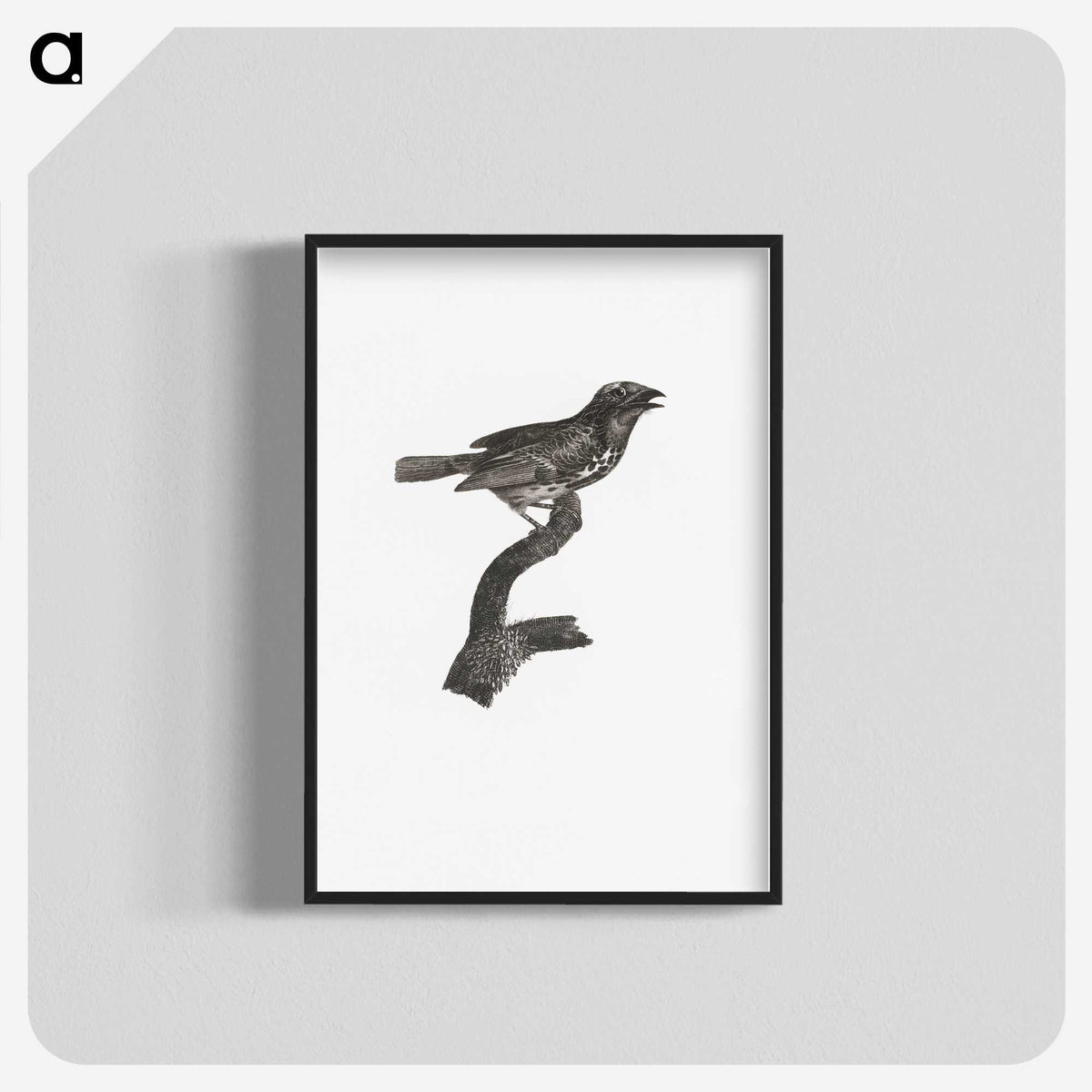 2-4_Des-Oiseaux-de-Paradis_blk-crop