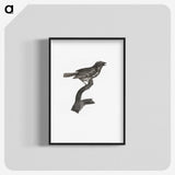 2-4_Des-Oiseaux-de-Paradis_blk-crop