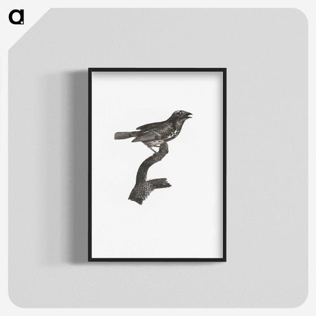 2-4_Des-Oiseaux-de-Paradis_blk-crop
