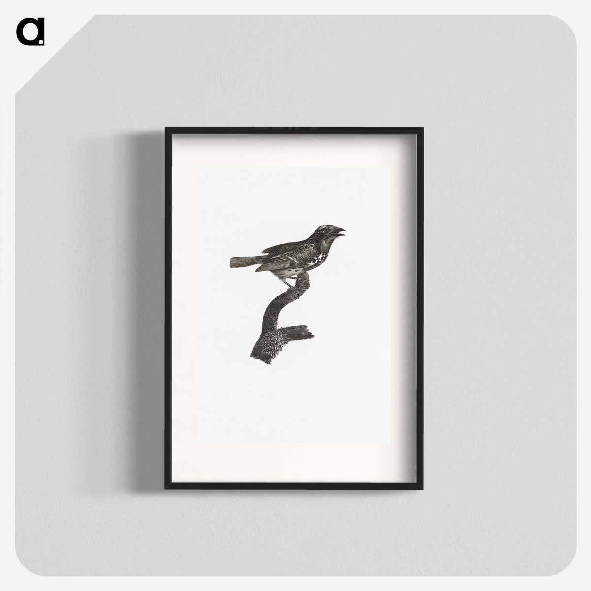 2-4_Des-Oiseaux-de-Paradis_blk