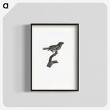 2-4_Des-Oiseaux-de-Paradis_blk