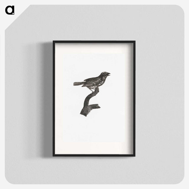 2-4_Des-Oiseaux-de-Paradis_blk