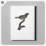 2-4_Des-Oiseaux-de-Paradis_canvas
