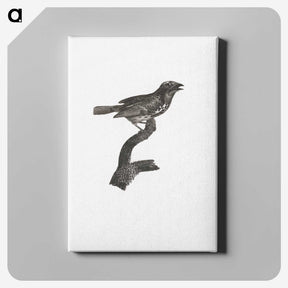 2-4_Des-Oiseaux-de-Paradis_canvas