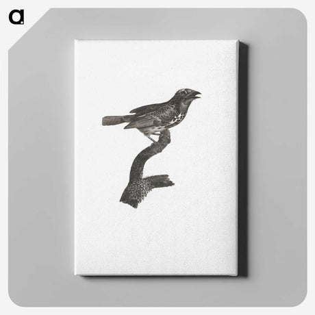 2-4_Des-Oiseaux-de-Paradis_canvas