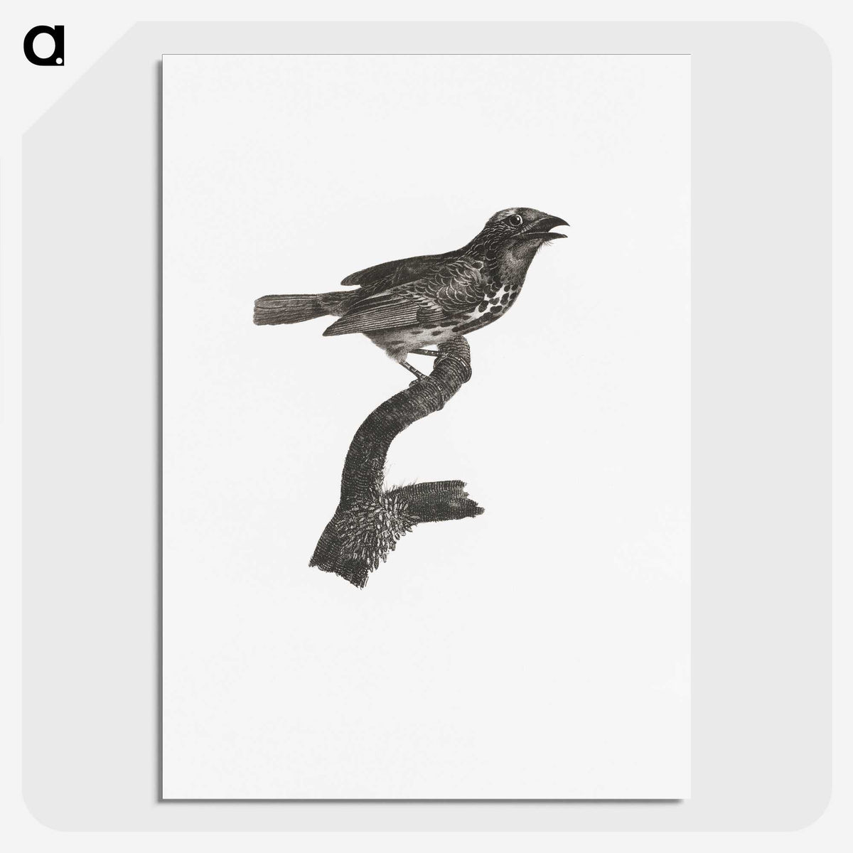 2-4_Des-Oiseaux-de-Paradis_picture-crop