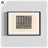 2-4_Eadweard-Muybridge_blk-crop