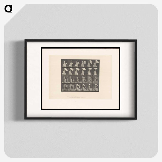 2-4_Eadweard-Muybridge_blk