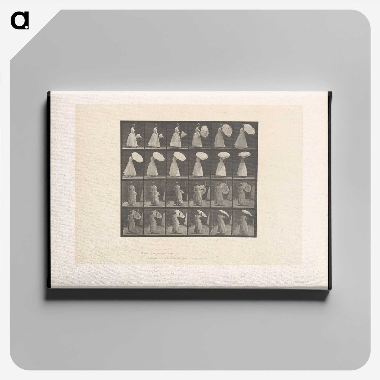 2-4_Eadweard-Muybridge_canvas