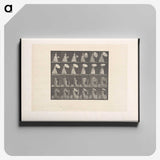 2-4_Eadweard-Muybridge_canvas