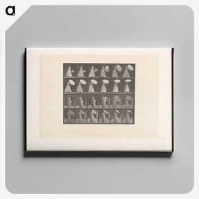 2-4_Eadweard-Muybridge_canvas