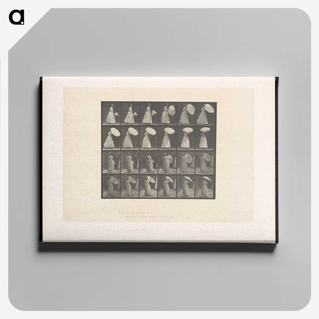 2-4_Eadweard-Muybridge_canvas