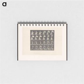 2-4_Eadweard-Muybridge_memo
