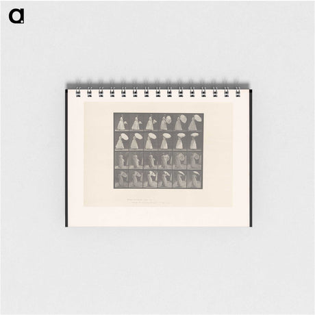 2-4_Eadweard-Muybridge_memo