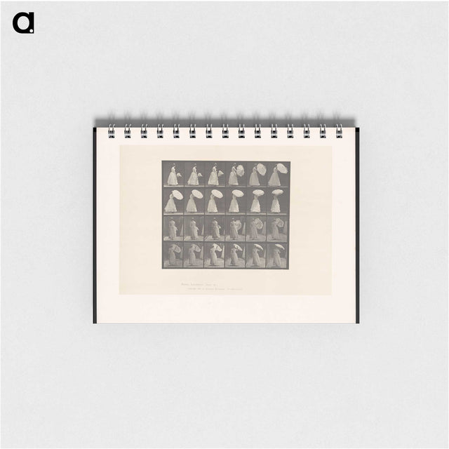 2-4_Eadweard-Muybridge_memo