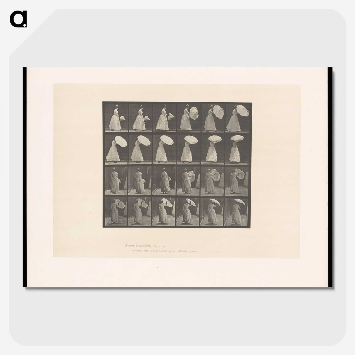 2-4_Eadweard-Muybridge_picture-crop