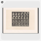 2-4_Eadweard-Muybridge_picture-crop