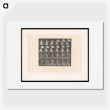 2-4_Eadweard-Muybridge_picture