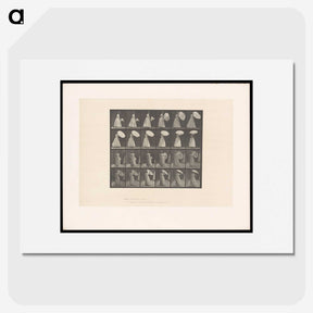 2-4_Eadweard-Muybridge_picture