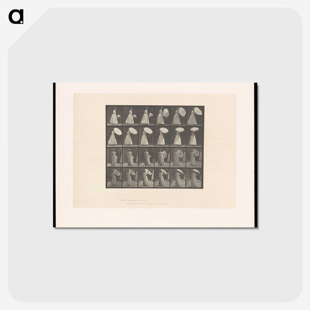 2-4_Eadweard-Muybridge_postcard