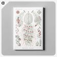 2-4_Ernst-Haeckel_canvas