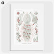 2-4_Ernst-Haeckel_picture