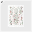 2-4_Ernst-Haeckel_postcard