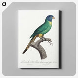 2-4_Francois-Levaillant_canvas