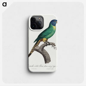 2-4_Francois-Levaillant_phone