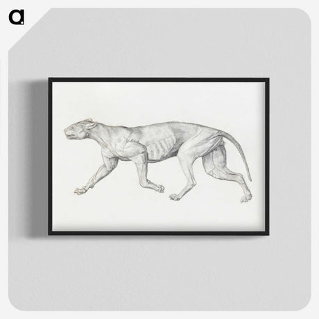 2-4_George-Stubbs_blk-crop