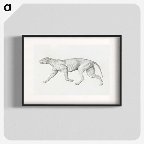 2-4_George-Stubbs_blk
