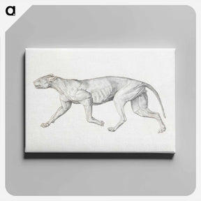 アートパネル-Leopard Body, Lateral View
 - ジョージ スタッブス Canvas.