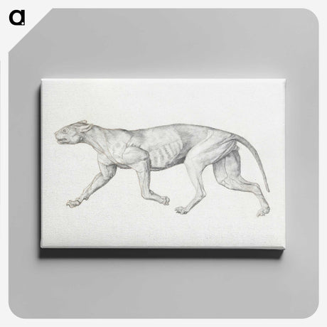 2-4_George-Stubbs_canvas