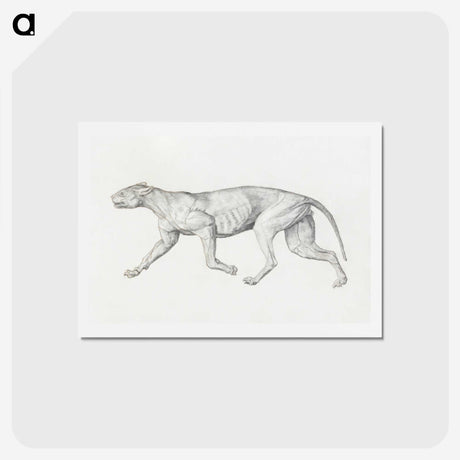 2-4_George-Stubbs_hagaki