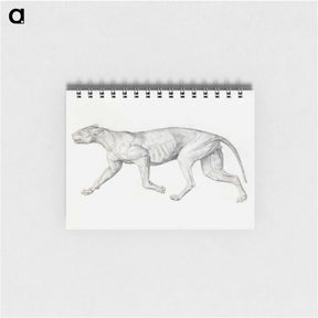 アートメモ帳-Leopard Body, Lateral View
 - ジョージ スタッブス Memo.
