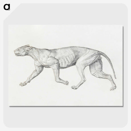 2-4_George-Stubbs_picture-crop